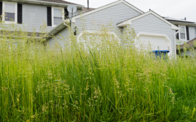 National Unclaimed Property Day: Why Estate Planning is More Than Just Documents