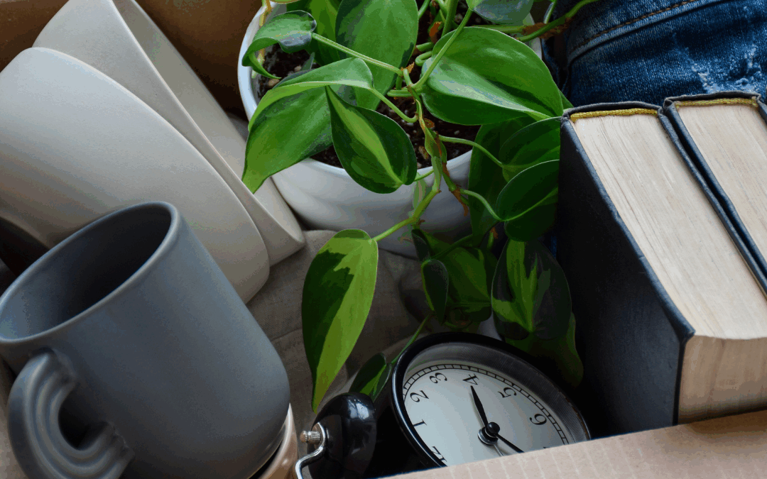 Preventing Family Feuds Over Your Personal Belongings